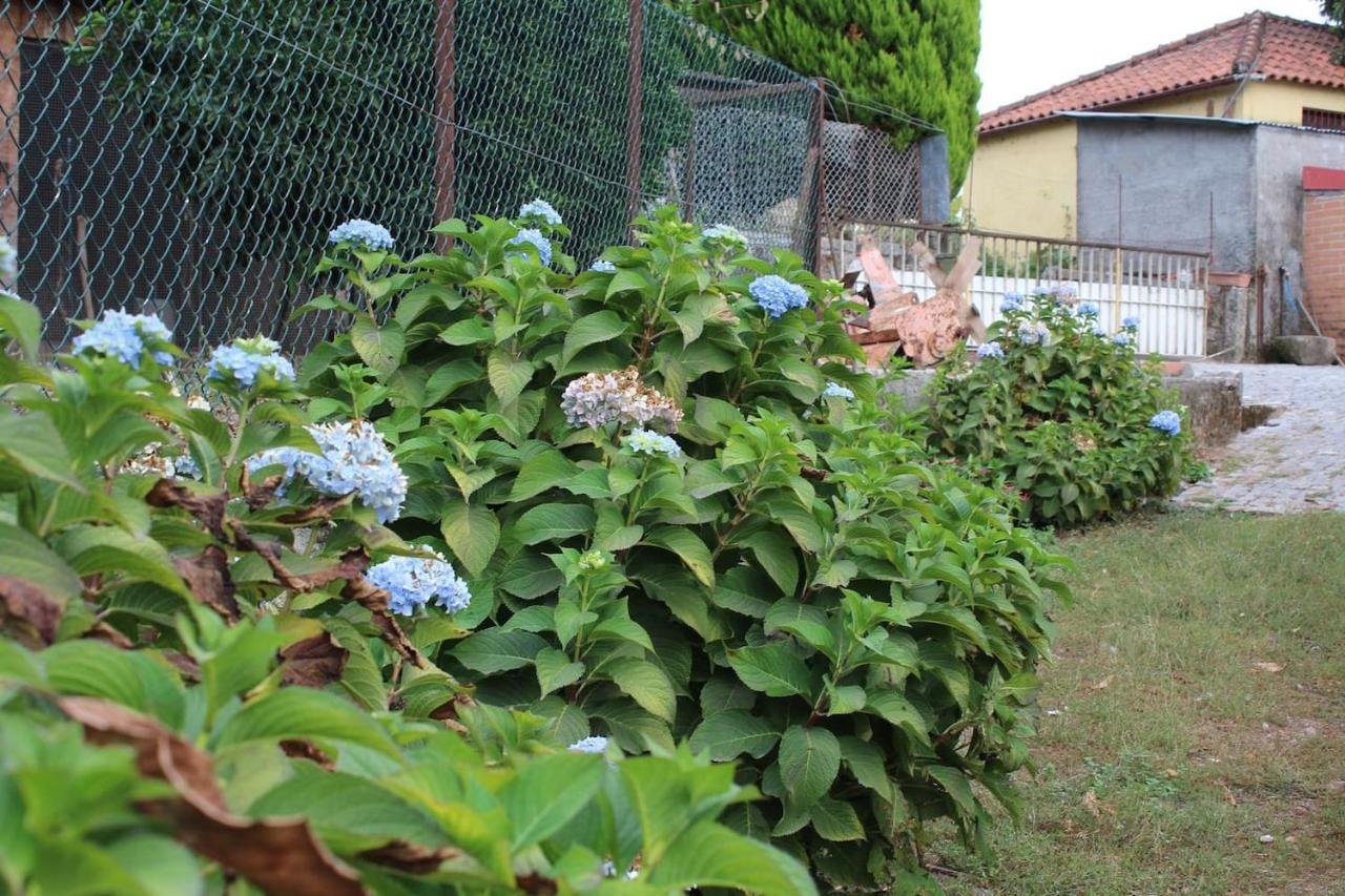 הוילה ארקוס דה ואלדבז Quinta Da Imaculada מראה חיצוני תמונה
